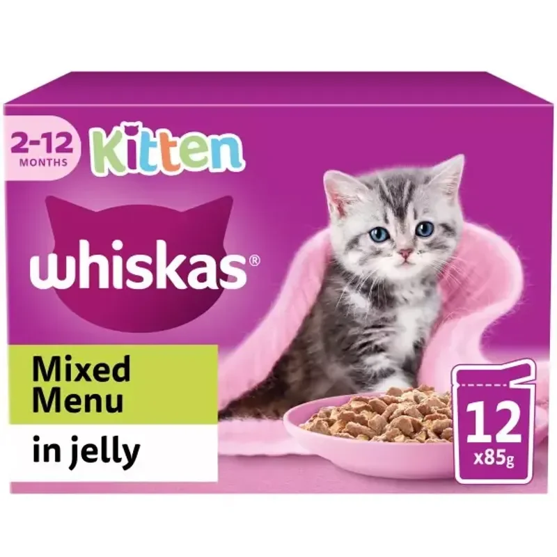 Cosma Kitten Salmon in Jelly